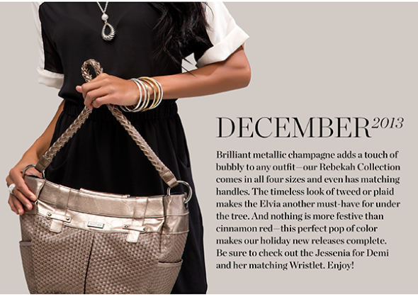 2013-December-Customer-eNewsletter_03